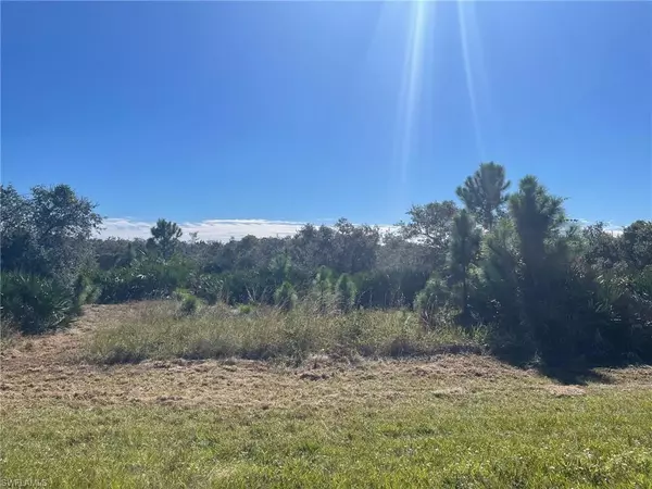 Fort Myers, FL 33905,Old Olga Lot #6