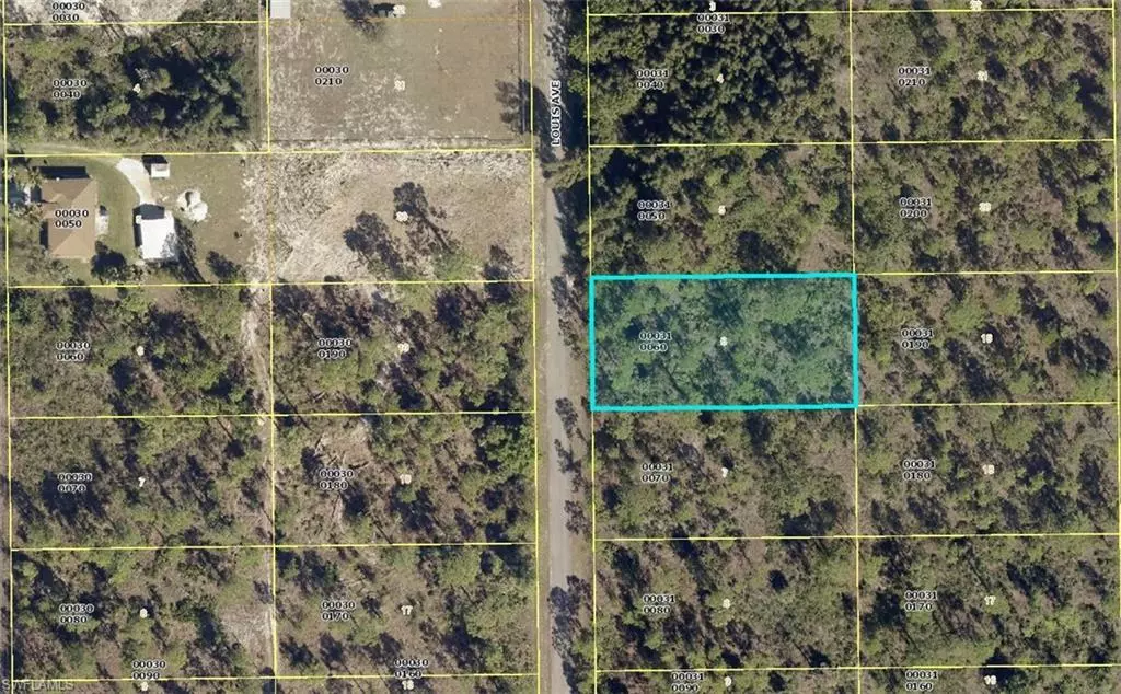 Lehigh Acres, FL 33936,212 Louis AVE