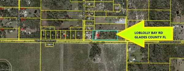 24690 Loblolly Bay RD,  Labelle,  FL 33935