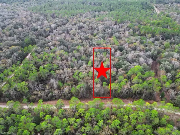 NE Chervil DR, Lee, FL 32059