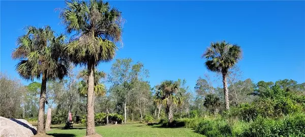 Fort Denaud, FL 33935,394 Kirby Thompson RD