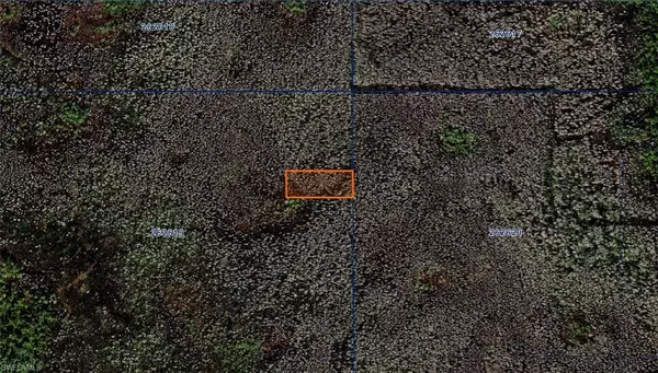 Polk City, FL 33868,Old Grade RD