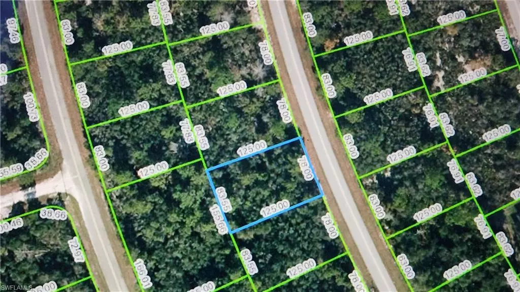 121 Fillmore AVE NE, Lake Placid, FL 33852