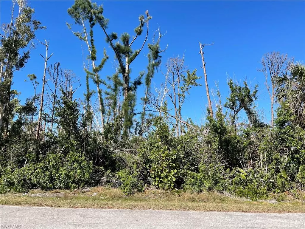 St. James City, FL 33956,3486 TANGELO DR
