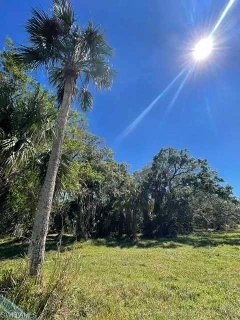 Alva, FL 33920,17871 Palm Beach BLVD