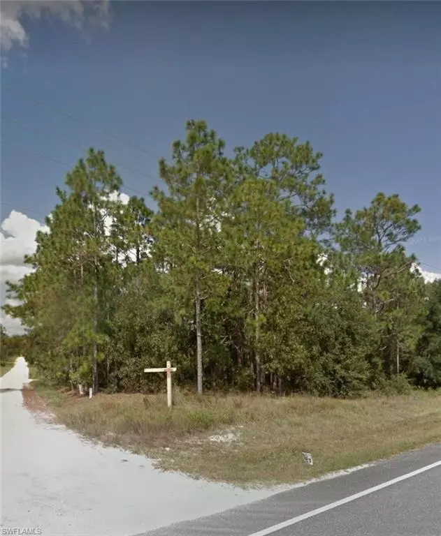 Morriston, FL 32668,LOT 1 GOLDEN PARADISE