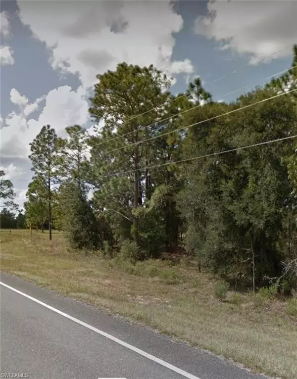 Morriston, FL 32668,LOT 1 GOLDEN PARADISE