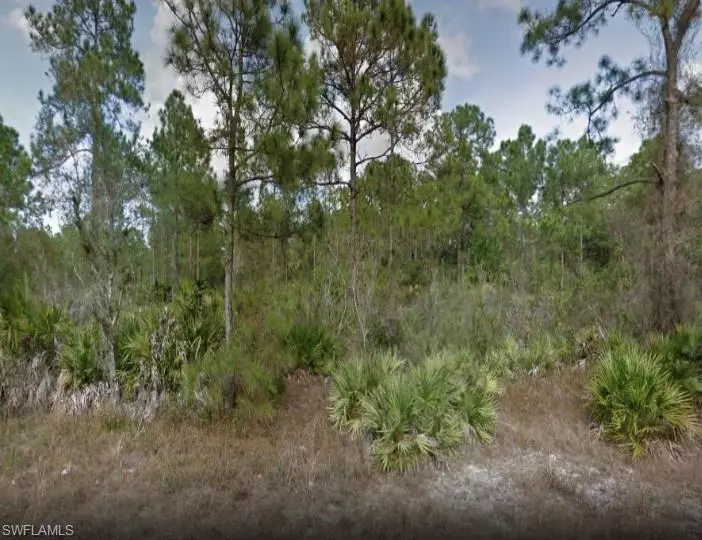 Alva, FL 33920,2517 Jetridge ST