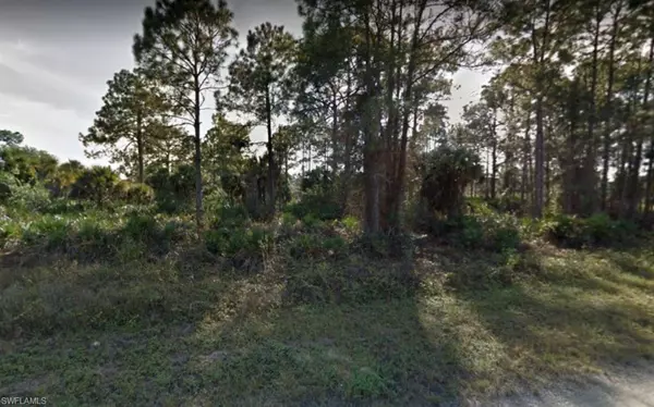 Lehigh Acres, FL 33974,1246 Cherry ST E