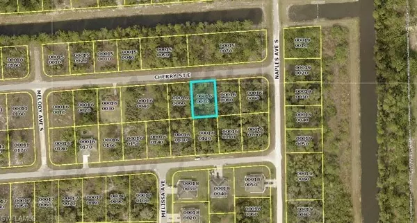 Lehigh Acres, FL 33974,1246 Cherry ST E