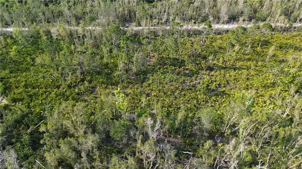 Bokeelia, FL 33922,Access Undetermined