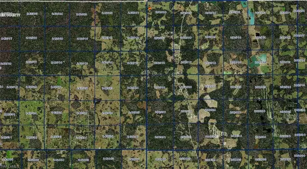 Polk City, FL 33868,25-25-06-000000-034260