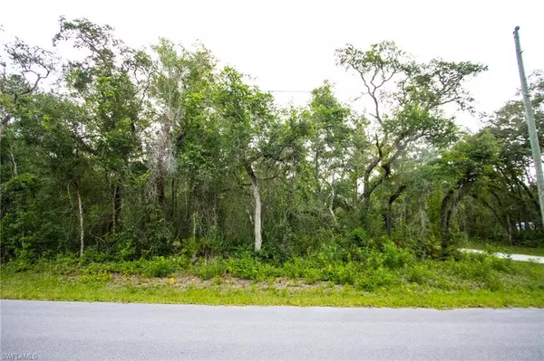 Webster, FL 33597,33439 August AVE