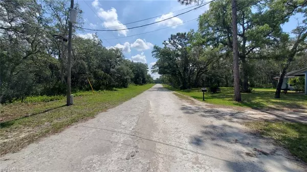 Webster, FL 33597,35017 Primrose LN