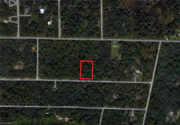 Webster, FL 33597,35017 Primrose LN