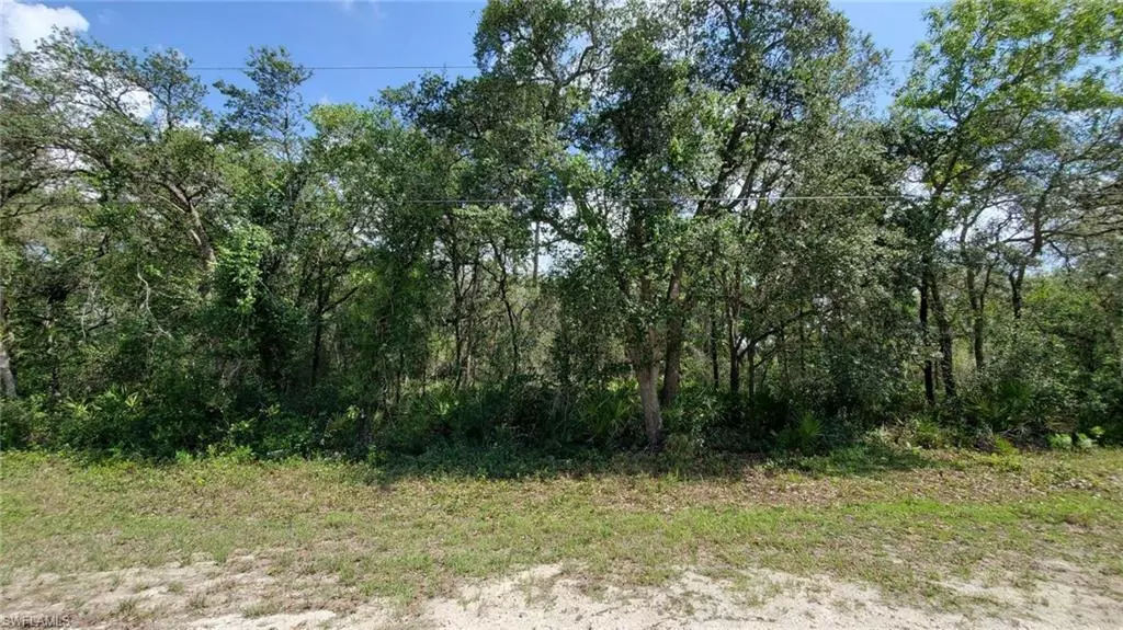 Webster, FL 33597,35017 Primrose LN