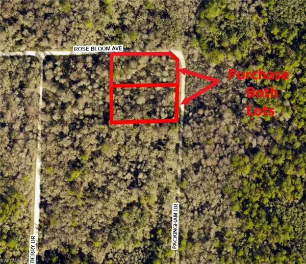 Webster, FL 33597,8009 Packingham ST