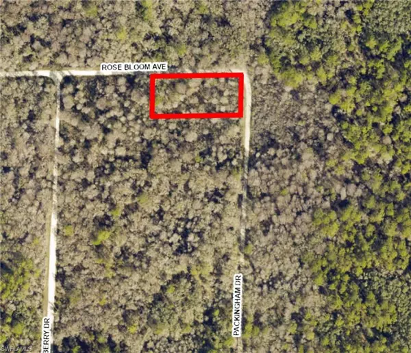 Webster, FL 33597,33464 Packingham DR