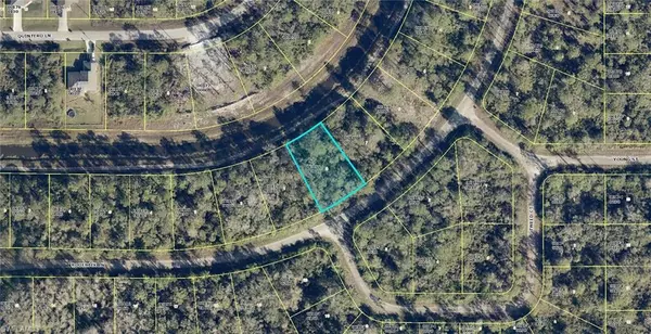 Lehigh Acres, FL 33972,1941 Roderick LN