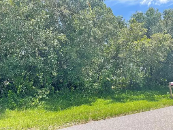 Moore Haven, FL 33471,4577 Horseshoe LOOP SW