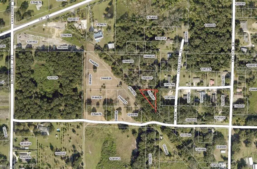 Yalaha, FL 34797,8525 Guava (Owner Financing) ST