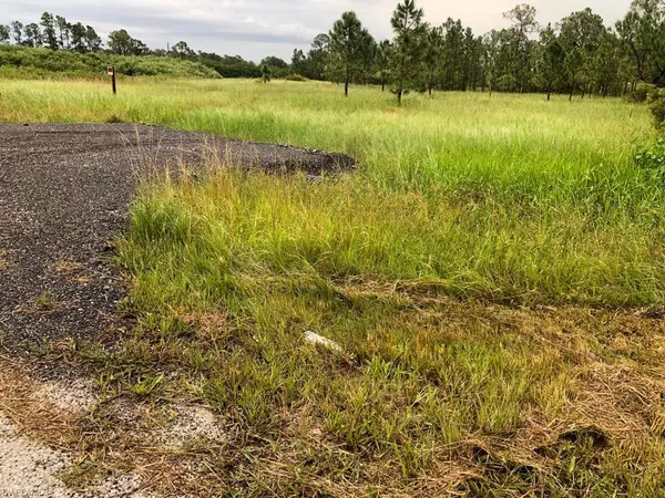 335 S Utopia ST, Montura Ranches, FL 33440