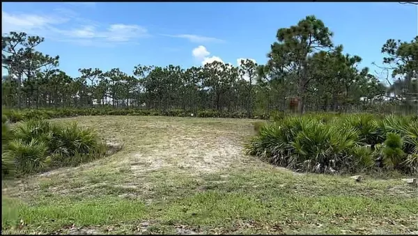 Bokeelia, FL 33922,12527 Canoe TRL