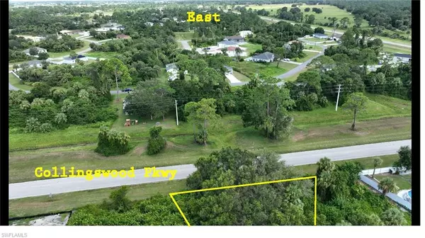 Labelle, FL 33935,3017 June CIR