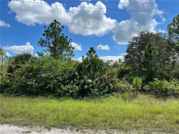 Lehigh Acres, FL 33972,703 Mindora AVE