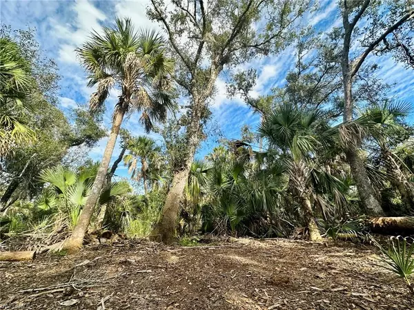 North Port, FL 34291,Lot 19 Backert RD