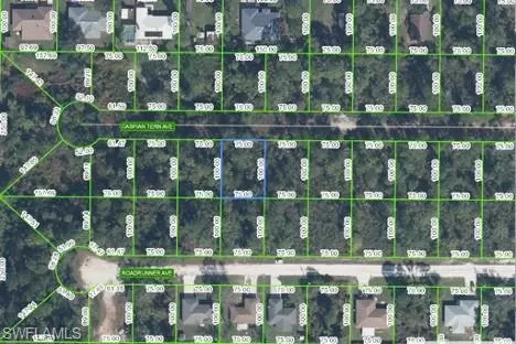 334 Caspian Tern AVE, Sebring, FL 33872