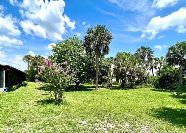 Labelle, FL 33935,5006 Pike LN