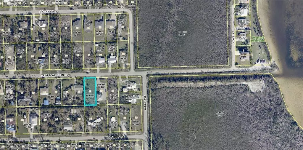 3501 TROPICAL POINT DR, St. James City, FL 33956