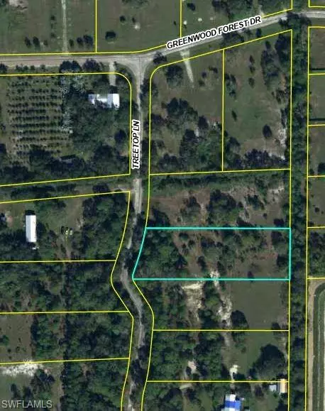 Clewiston, FL 33440,1515 Treetop LN