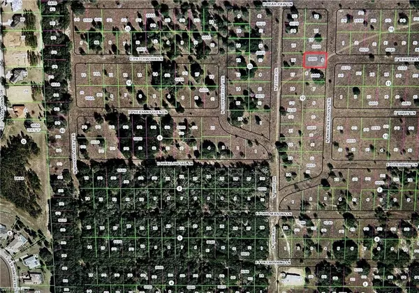 Inverness, FL 34453,176 N AMBER MEADOWS TER