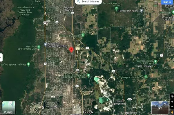 Weeki Wachee, FL 34614,0 Schick AVE