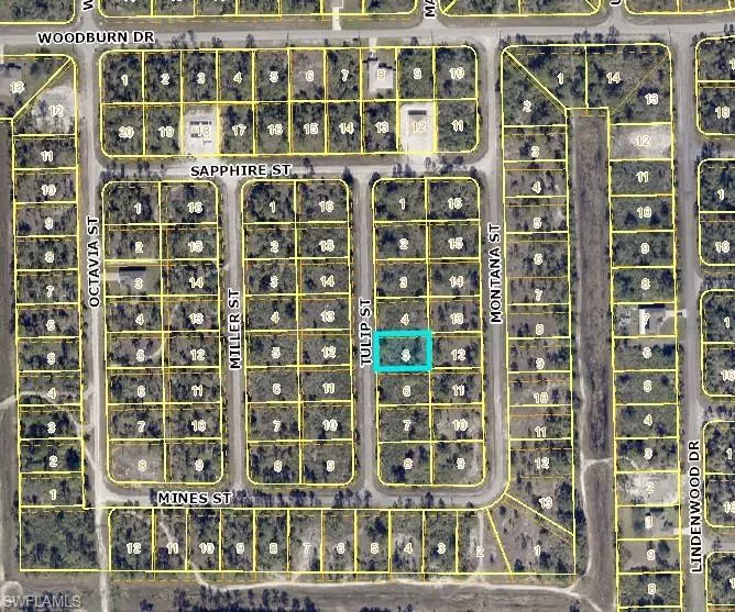 Lehigh Acres, FL 33972,1850 Tulip ST