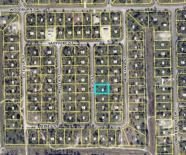 1850 Tulip ST, Lehigh Acres, FL 33972