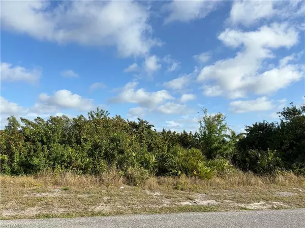 Lehigh Acres, FL 33976,1508 Olive AVE S