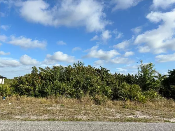 Lehigh Acres, FL 33976,1508 Olive AVE S