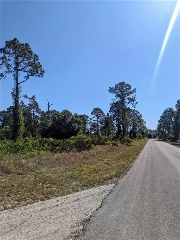 Lehigh Acres, FL 33974,1063 Manning ST E