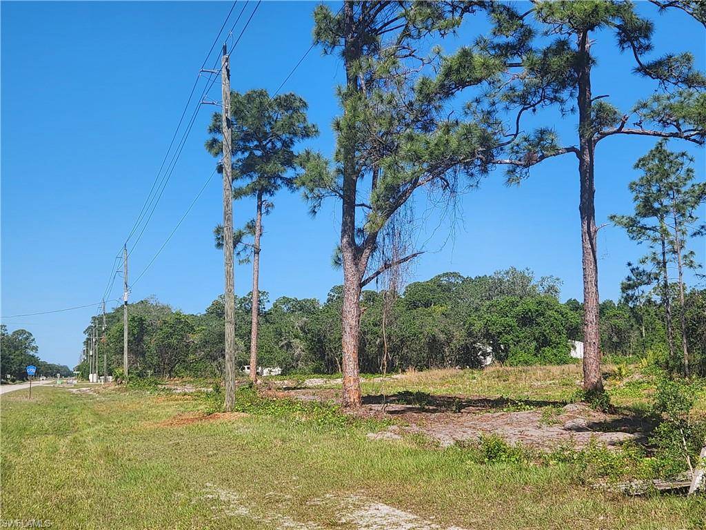 Labelle, FL 33935,24690 Loblolly Bay RD