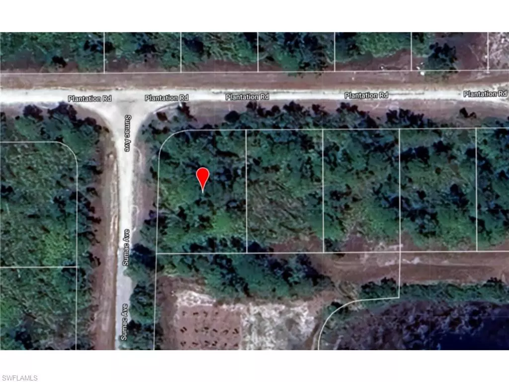 Lehigh Acres, FL 33974,1124 Plantation RD