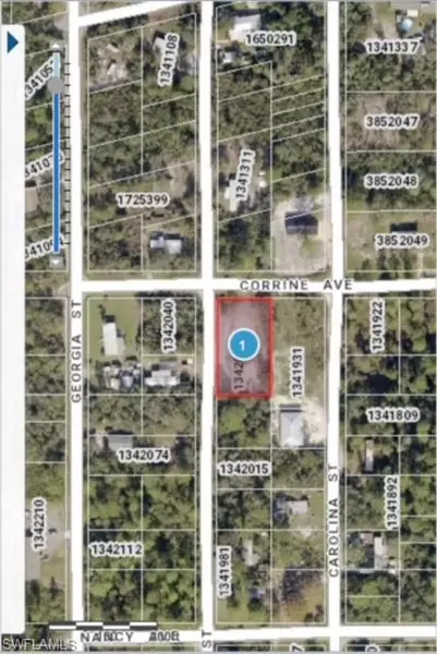 0 Virginia ST, Paisley, FL 32767