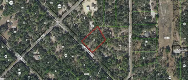 Crystal River, FL 34428,9343 N China Pink WAY