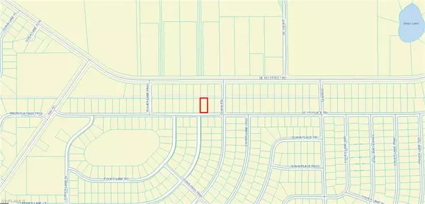 Ocklawaha, FL 32179,123 SE 115TH Place Rd