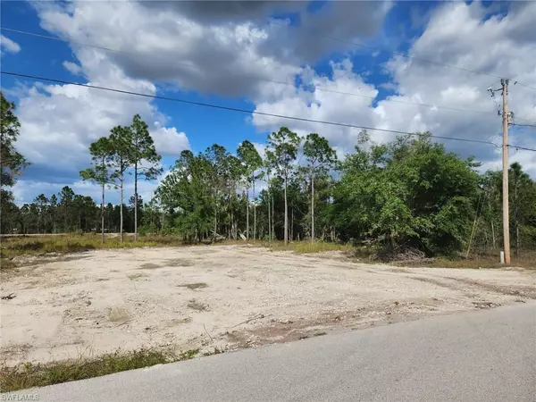 Lehigh Acres, FL 33974,425 La Perouse ST W