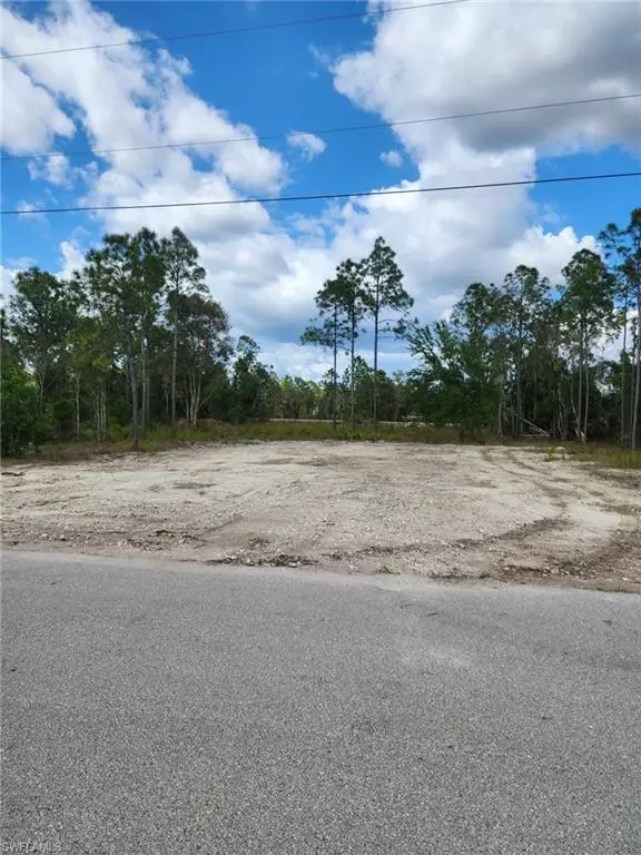 Lehigh Acres, FL 33974,425 La Perouse ST W