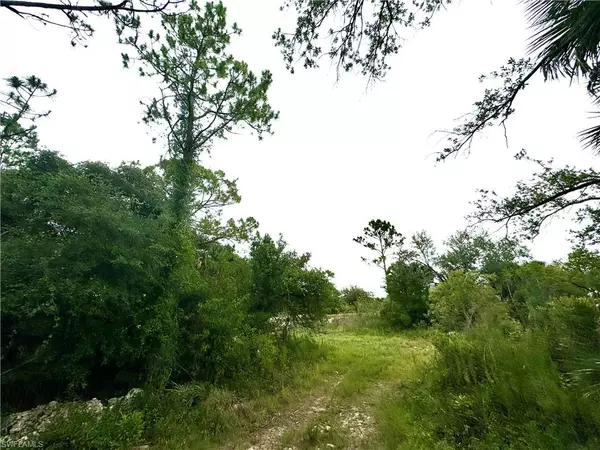 Lehigh Acres, FL 33972,634 Jackie CT