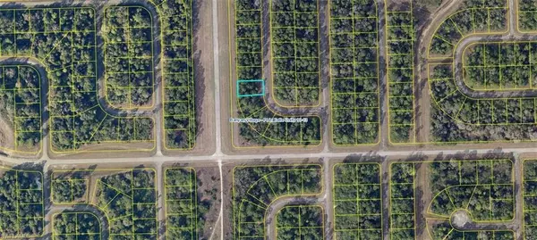 Labelle, FL 33935,910 Marconi LOOP